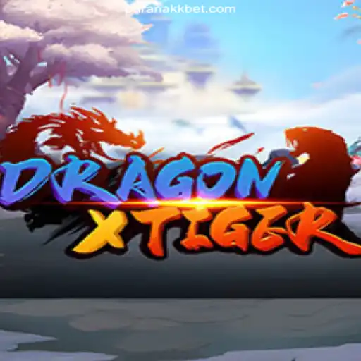 Exploring the Excitement of DragonXTiger